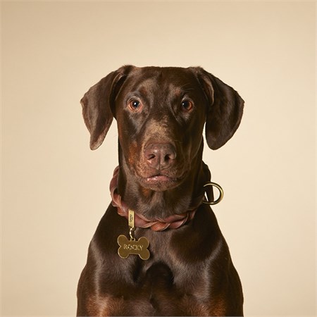 Medaglietta Incisa My Family Basic Osso Grande Dorato in Cani