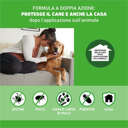 Frontline Combo da 2 a 10 kg 1 pipetta Per Cuccioli e Cani Adulti di Piccola taglia in Cani