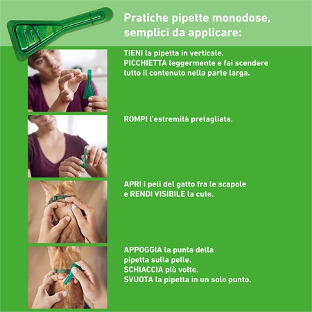 Frontline Combo 1 Pipetta da 0-5 ml Per Gatti e Gattini in Gatti