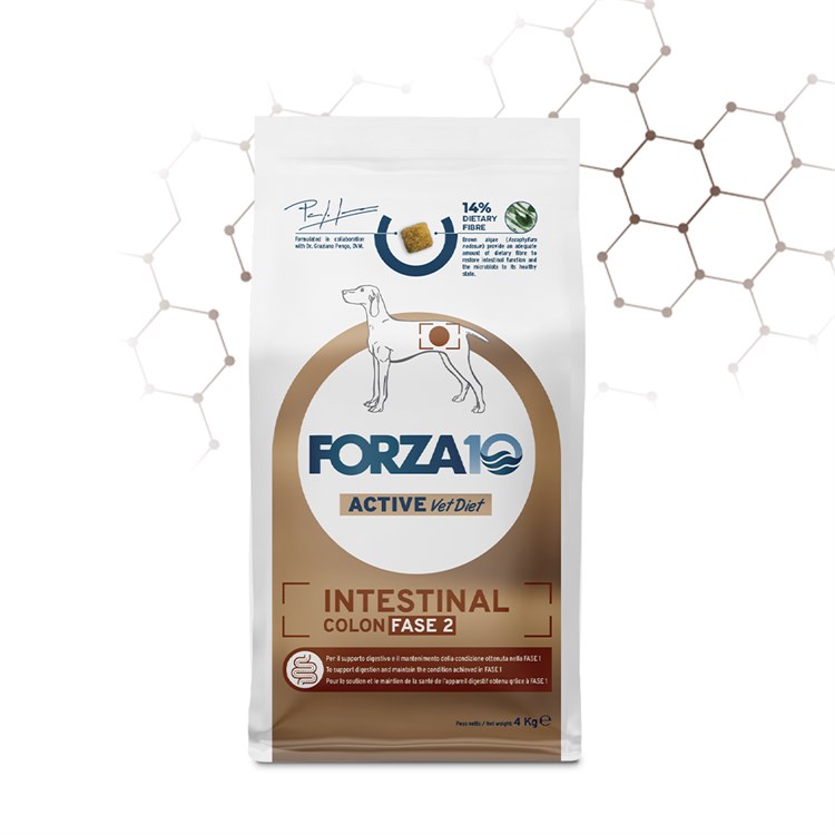 Forza 10 Intestinal Colon Fase 2 10 kg Cane