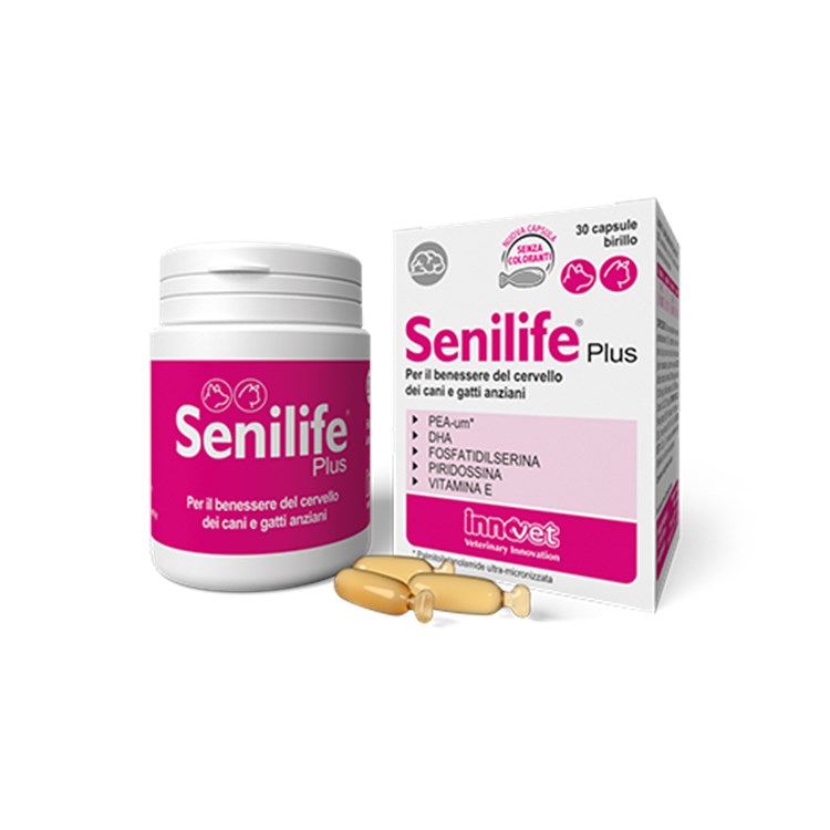 Innovet Senilife Plus 30 Capsule Birillo Monodose Per Cani e Gatti
