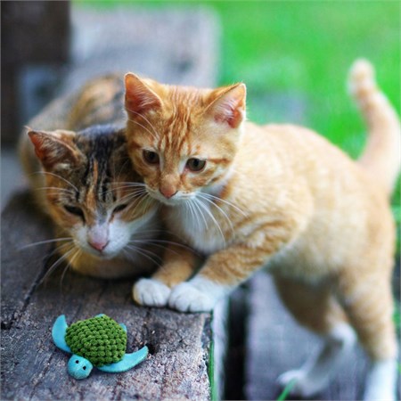 Kong Cat Refillables Turtle Gioco Per Gatti 10 cm Con Erba Gatta in Gatti