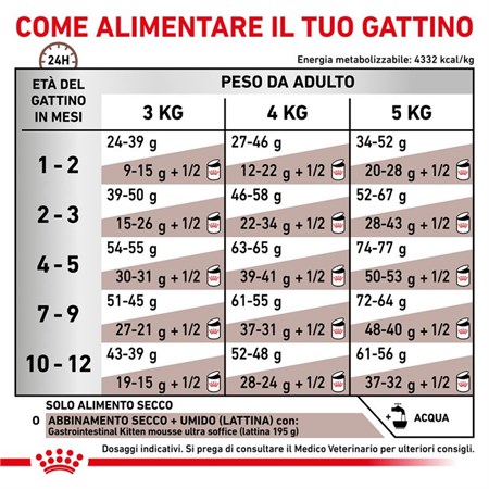 Royal Canin Gastro Intestinal Kitten 195 gr Umido Gatto in Gatti