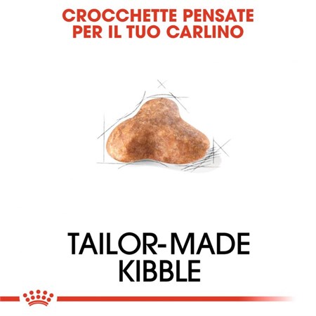 Royal Canin Pug Carlino Adult 1,5 kg per Cani in Cani