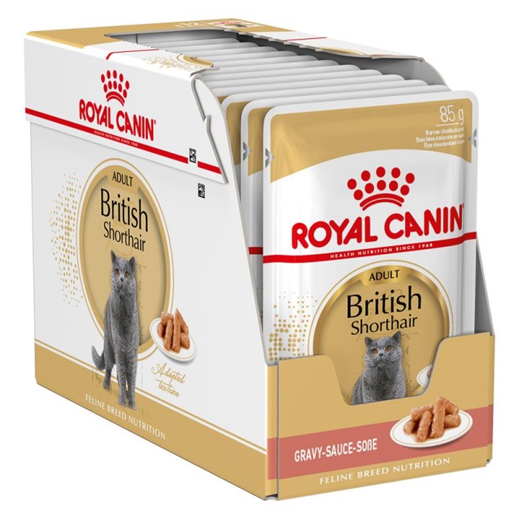 Royal Canin British Shorthair Adult Umido 85 gr Per Gatti