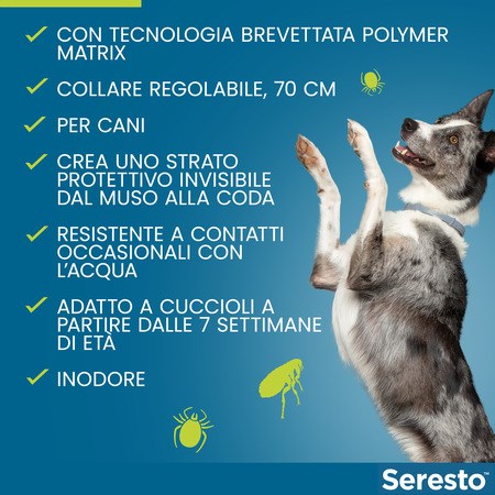 Collare Seresto Per Cani Fino A 8 kg Antiparassitario Elanco in Cani