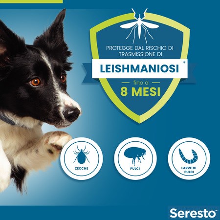 Collare Seresto Per Cani Fino A 8 kg Antiparassitario Elanco in Cani