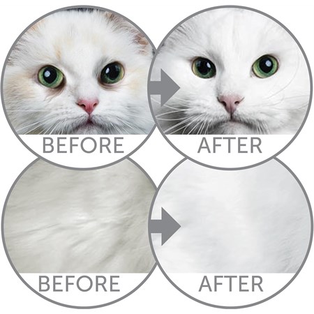 Nature's Protection White Cats Adult Aringa 1,5 kg Crocchette Grain Free Per Gatti in Gatti