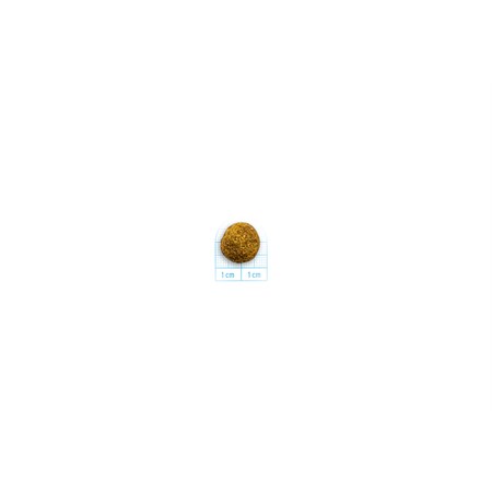 Forza 10 Active Vet Diet Intestinal Colon Fase 1 Mini Toy 1,5 kg Crocchette Per Cani in Cani