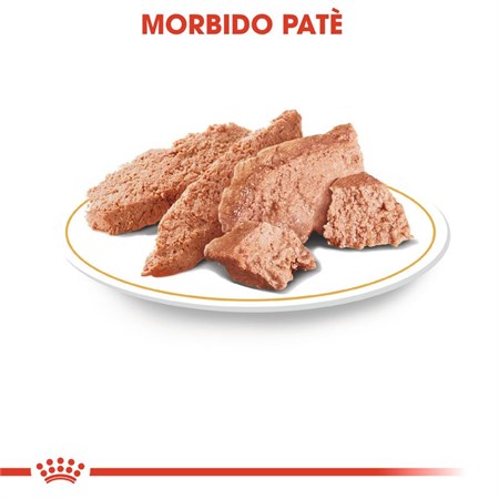 Royal Canin Chihuahua Mousse 85 Gr Bustina Umido Per Cane in Cani