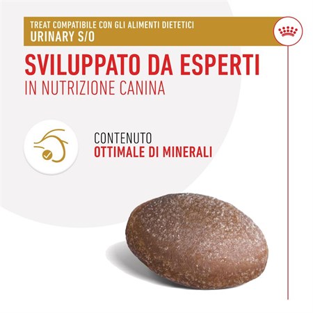 Royal Canin Treats Urinary 230 g Snack cane in Cani