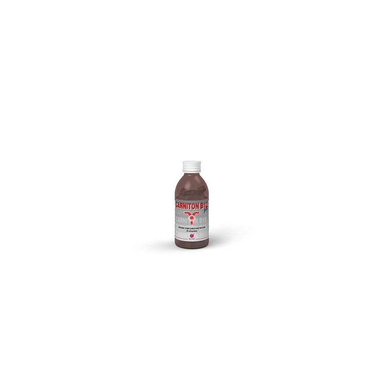 CARNITON B12 PET 80 CPR