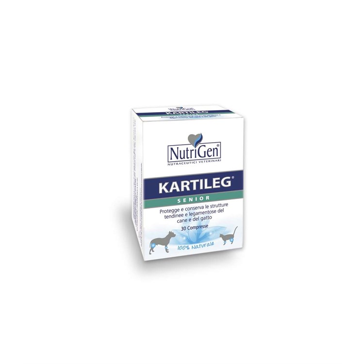 KARTILEG SENIOR 120 TAV