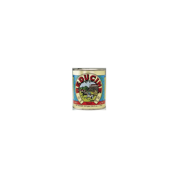 REDUCINE ABSORBENT 450 GR