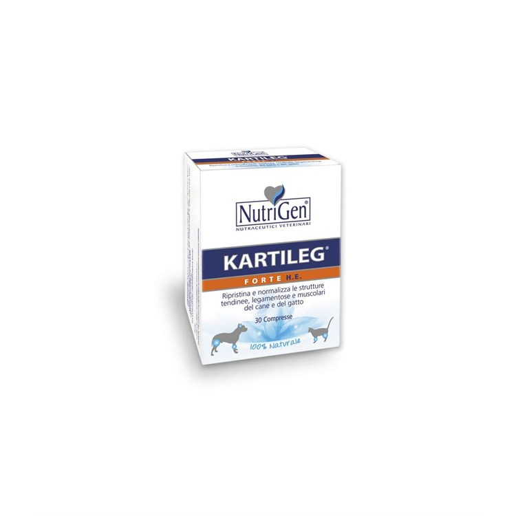 KARTILEG FORTE HE 120 TAV