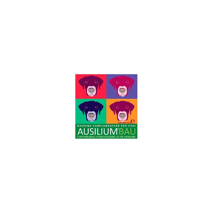 AUSILIUM BAU 100G