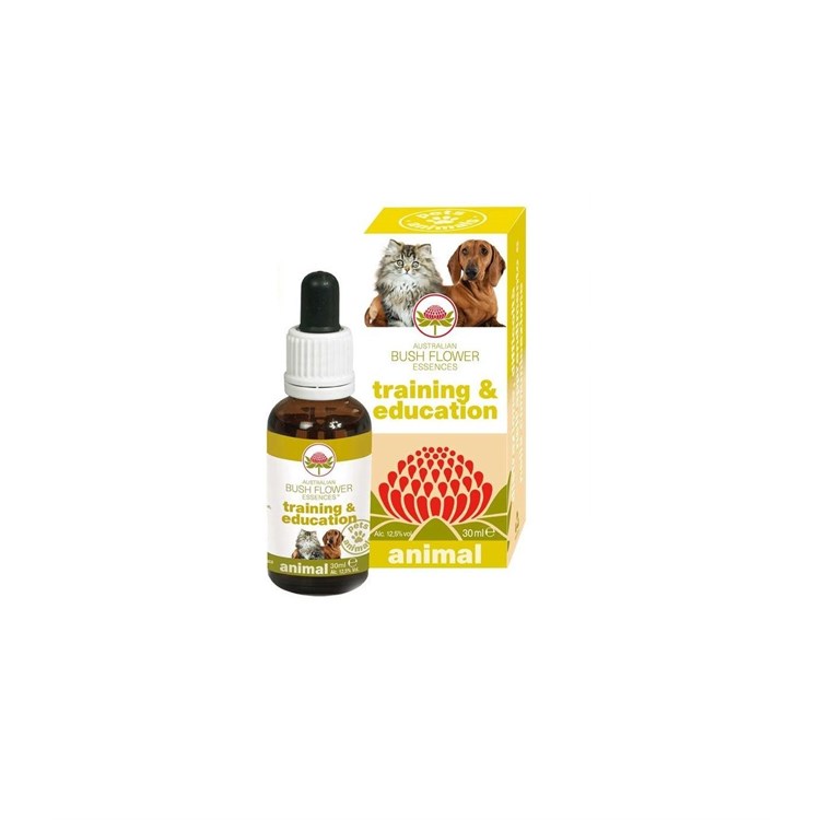 BUSH FLOWER TRAINING & EDUCATION 30 ML