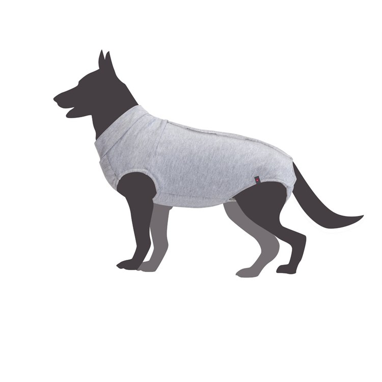 Camon Body Tutina Post Operatoria 30 cm Per Cane