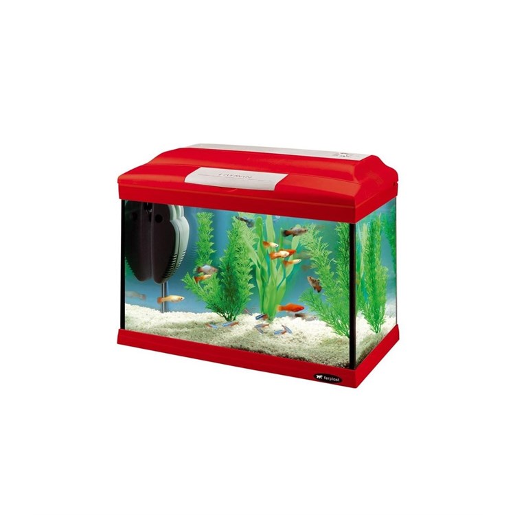 CAYMAN 40 COLOURS