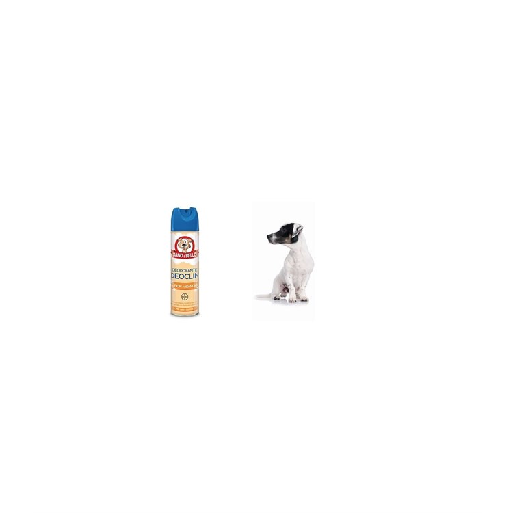 DEOCLIN ASSORBIODORE 250 ML S&B
