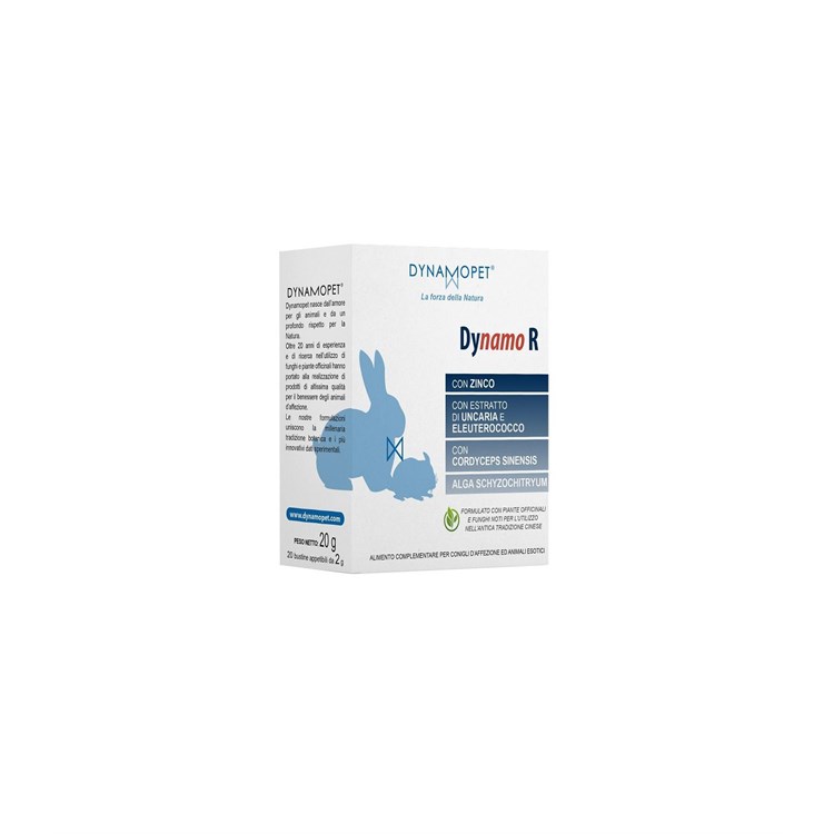 DYNAMO R 20 BUST 2 GR
