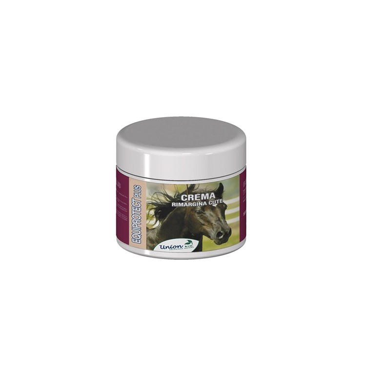 EQUIPROTECT PLUS 500 ML