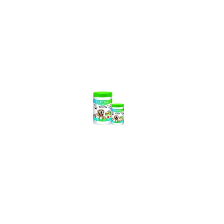 ESSENTIAL CANE SENIOR 650 GR