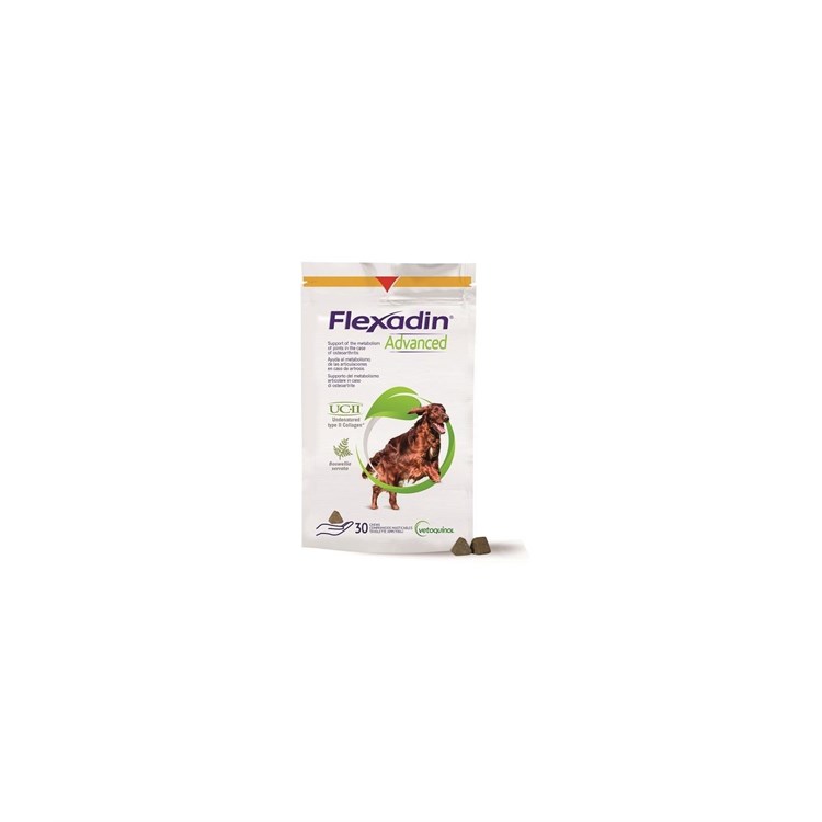 FLEXADIN ADVANCED 30 TAV. MASTIC  NUOVA FORMULA