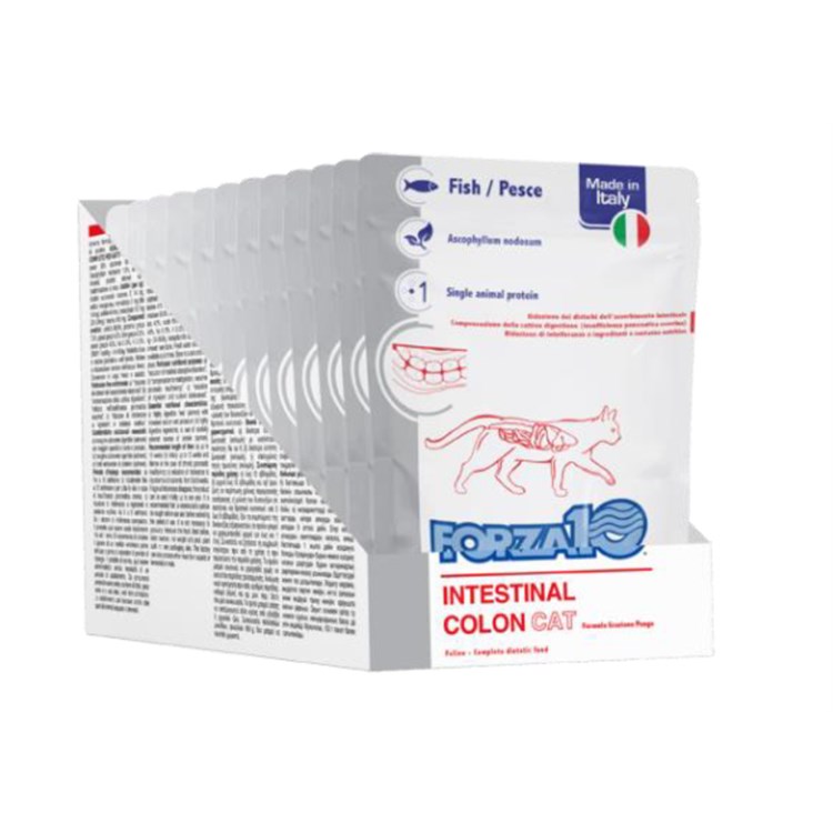 Forza 10 Active Intestinal Colon 100 Gr Bustina Umido Gatto