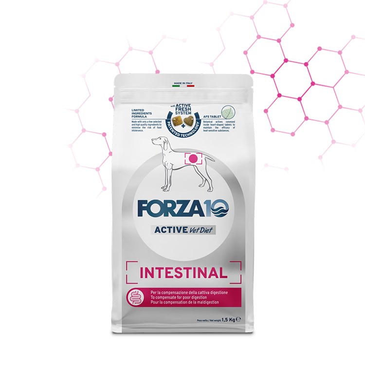 Forza 10 Active Line Intestinal 10 kg