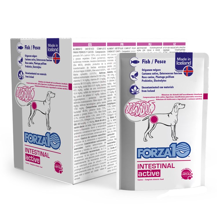 Forza 10 Intestinal Active Pesce 100 Gr Busta Umido Cane