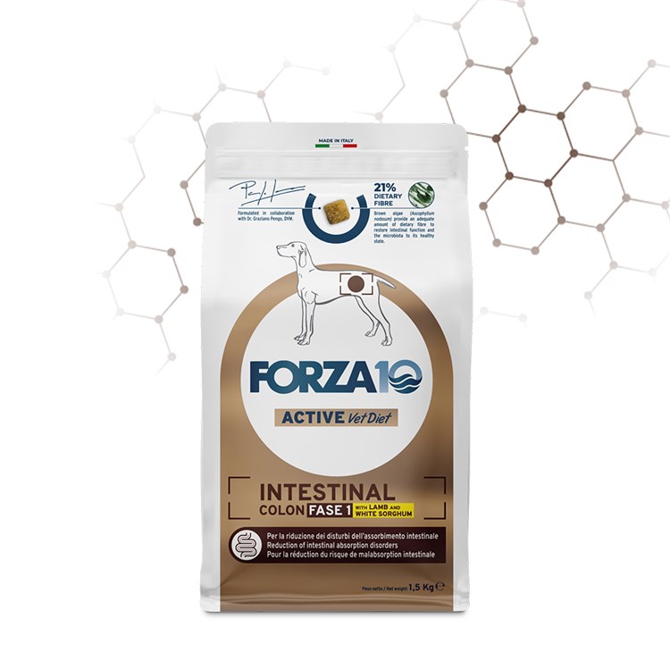 Forza 10 Intestinal Colon Fase 1 Agnello Sorgo 1,5 kg Per Cani