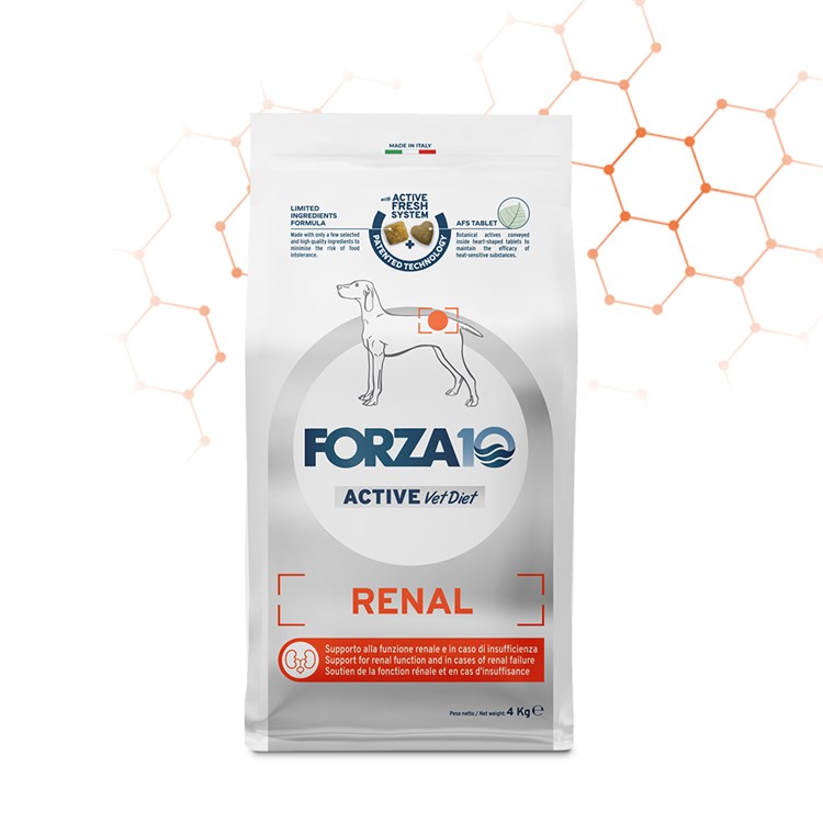 Forza 10 Renal Active Vet Diet 4 kg Per Cane