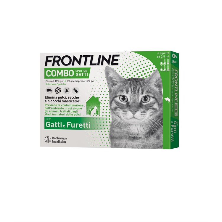 FRONTLINE COMBO GATTI 6 PIP