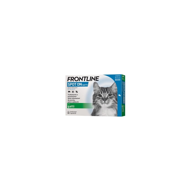 FRONTLINE SPOT ON GATTI 4 PIP