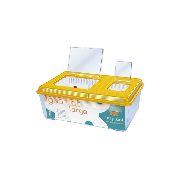 GEO FLAT LARGE ACQUARIO