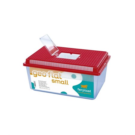 geo flat small acquario