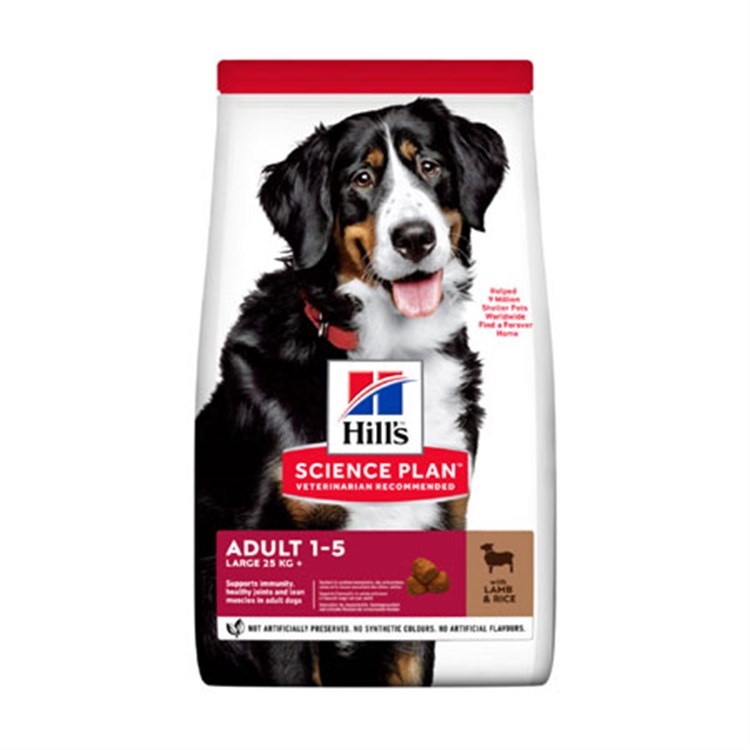 Hill's Science Plan Cane Adult Large Breed Agnello 14 kg