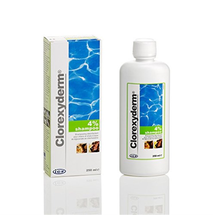 Icf Clorexyderm Shampoo 4% 250 ml