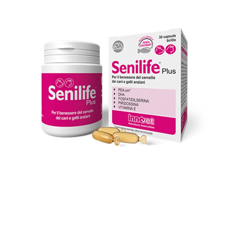 Innovet Senilife Plus 30 Capsule Birillo Monodose Per Cani e Gatti