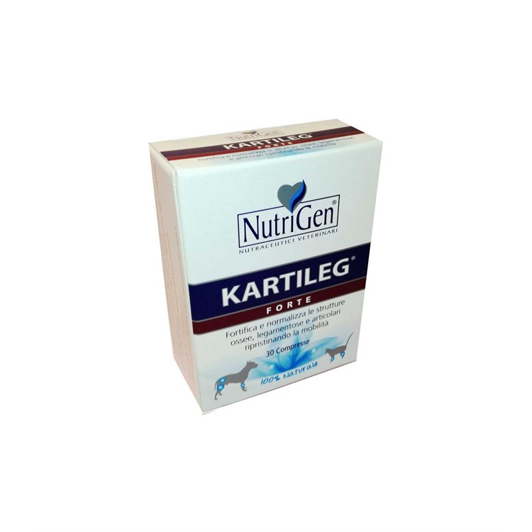 KARTILEG FORTE 60 TAV