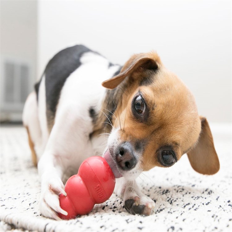 Kong Classic Large 10 cm 227 gr Per Cani da 13 a 30 kg