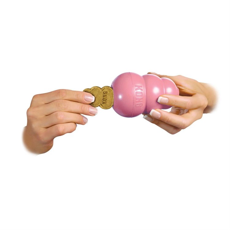 Kong Snack Dog Puppy Small 198 gr Per Cane