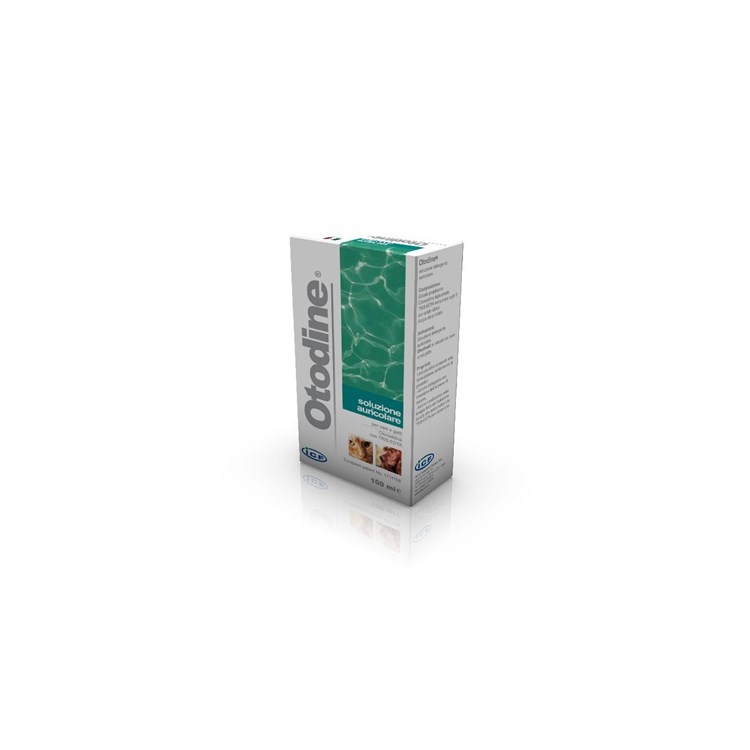 Icf OTODINE 100 ML soluzione auricolare