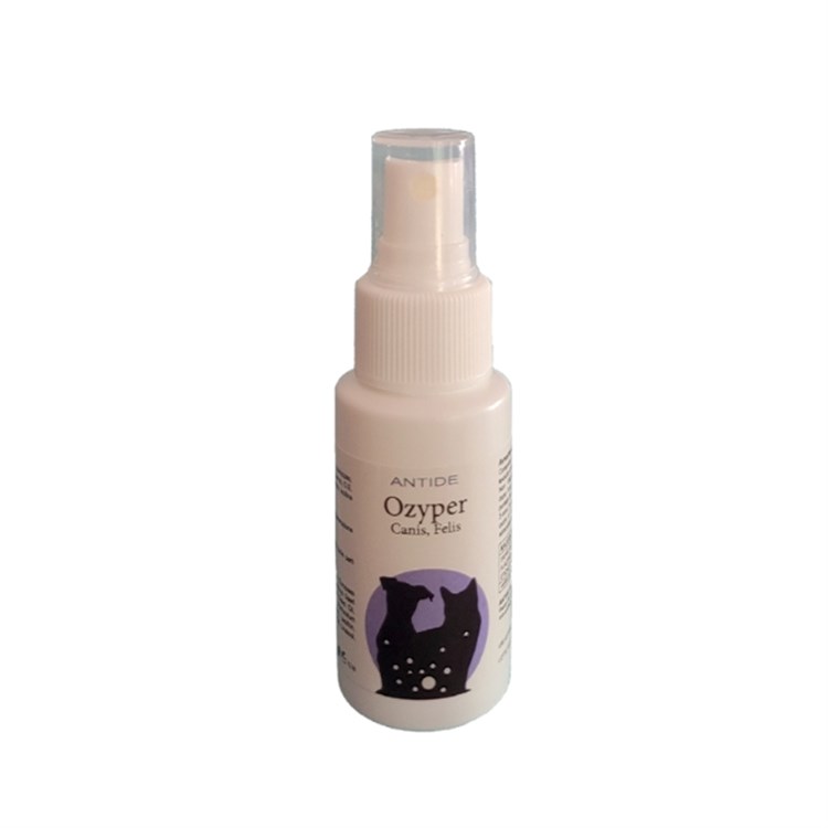 Ozyper Canis Felis