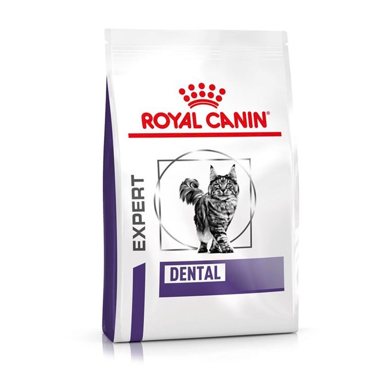 Royal Canin Expert Dental Cat 1,5 kg Crocchette per gatto