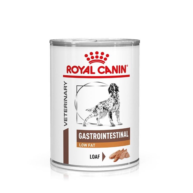Royal Canin Gastro Intestinal Low Fat 420 gr Barattolo Umido Cane