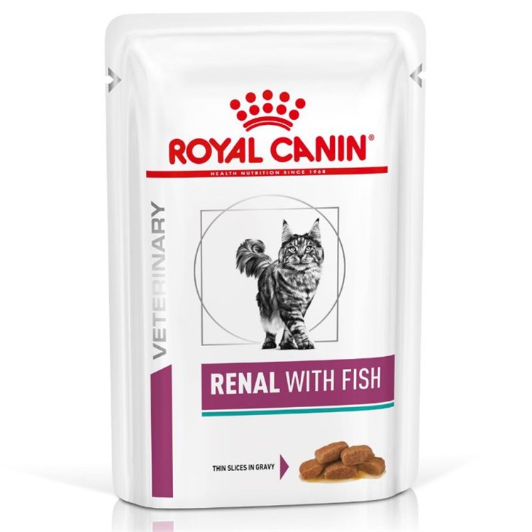 Royal Canin Renal Fish Pesce 85 gr Bustina Umido Gatto
