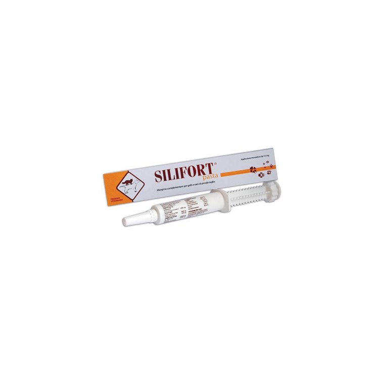 SILIFORT PASTA OS SIRINGA 15 GR
