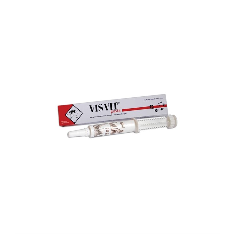 VISVIT PASTA OS SIRINGA 15 GR